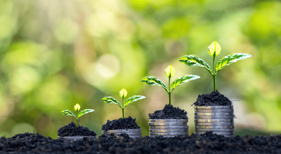 21 Indicators that lack of tech is slowing scaleup growth